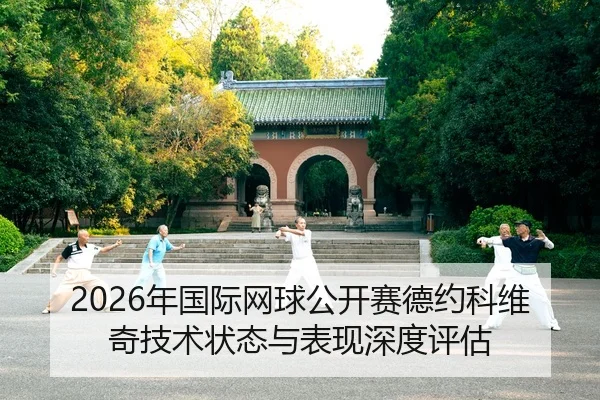 nian-guo-ji-wang-qiu-gong-kai-sai-de-yue-ke-wei-qi-ji-shu-zhuang-tai-yu-biao-xian-shen-du-ping-gu-2-651.jpg