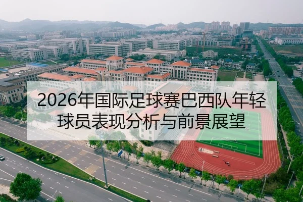 2026年国际足球赛巴西队年轻球员表现分析与前景展望